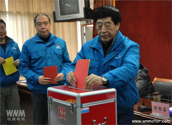 皖南电机陈根喜、管兵在投票现场 皖南电机陈根喜、管兵在投票现场