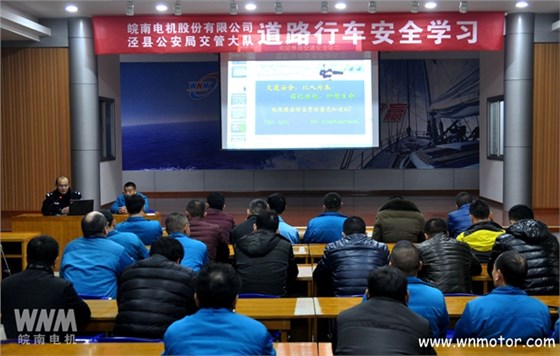 皖南电机 皖南电机