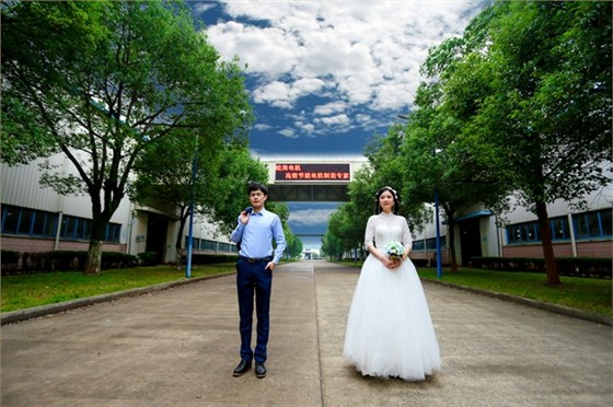 徜徉在厂区大道上 徜徉在厂区大道上