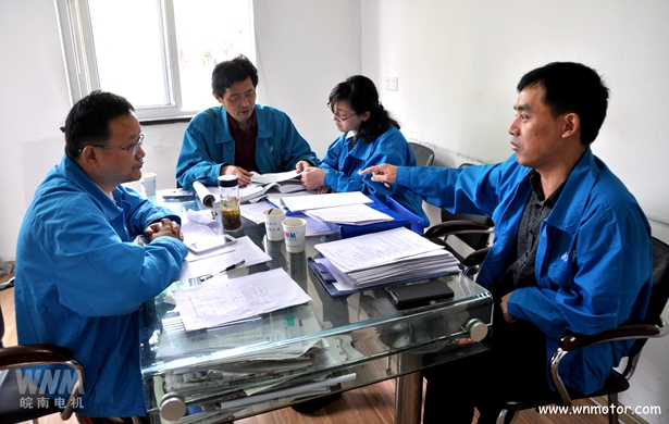 皖南电机|内审 皖南电机|内审