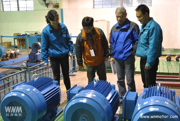 高效电动机 高效电动机