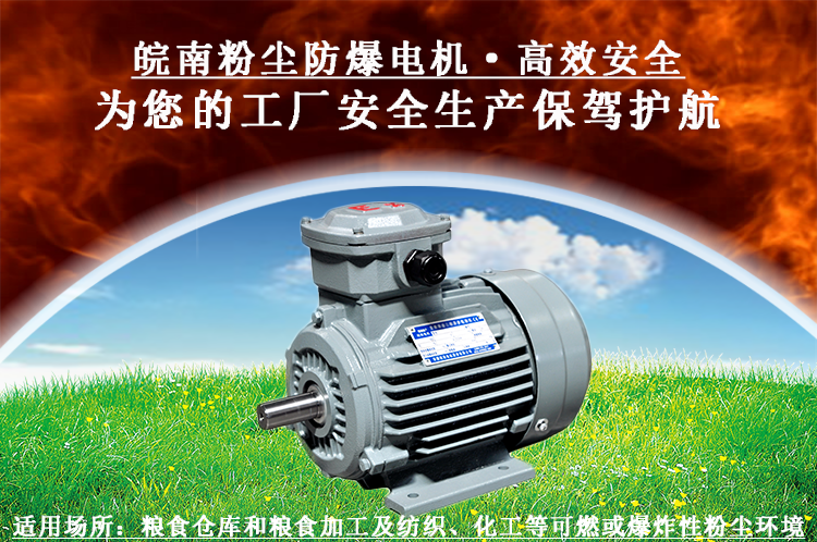 粉尘防爆电机 粉尘防爆电机