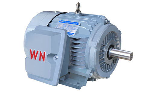 NE系列高效高转矩三相异步电动机 NE系列高效高转矩三相异步电动机